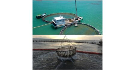 Hainan fish on global tables: testament to successful Hainan Fresh Products initiative