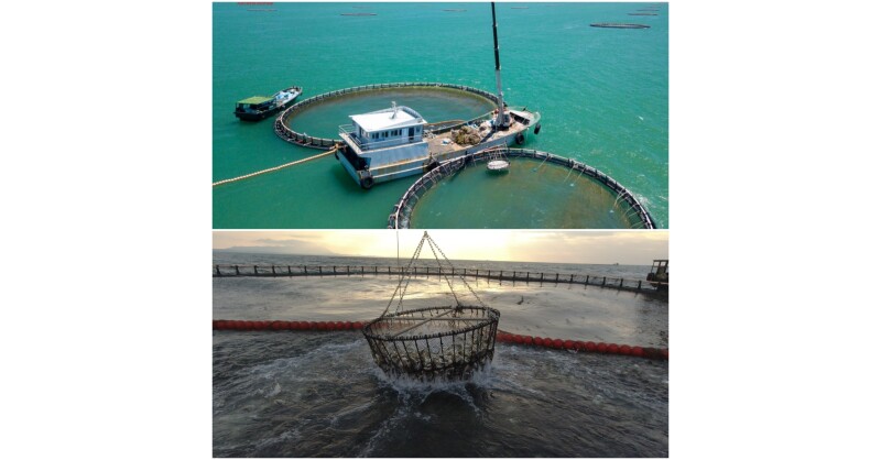 Hainan fish on global tables: testament to successful Hainan Fresh Products initiative