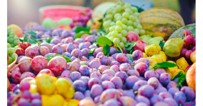 Jiashi, the County with a Touch of Sweetness Jiashi, the County with a Touch of Sweetness