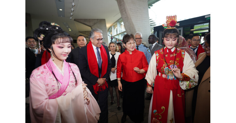An Encounter with China: Chinese New Year in Paris: Nanjing Intangible Cultural Heritage Shines