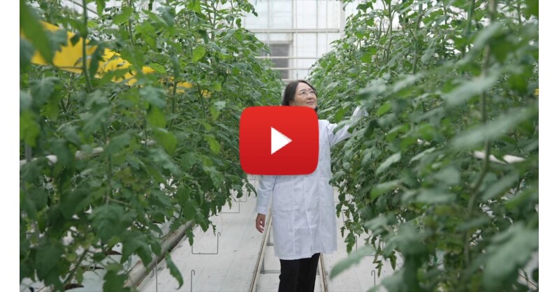 Tracking the unseen: How Chinese agricultural experts tackle invisible pollution in Yangtze River protection