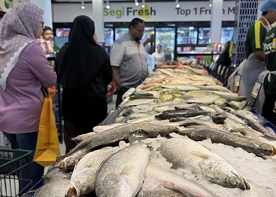 SEGI FRESH UNVEILS NEW STORE CONCEPT AND REFRESHED BRAND IDENTITY IN BIDOR
